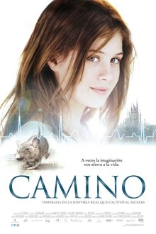 Camino Camino