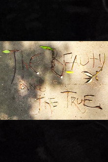 The Beauty and the True