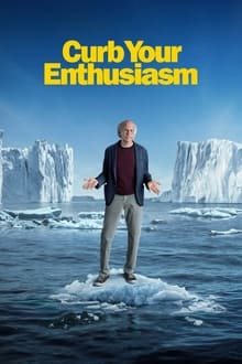 Curb Your Enthusiasm tv show poster