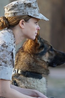 Sergeant-Rex---Nicht-ohne-meinen-Hund
