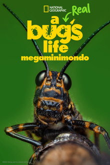 Stagione 1