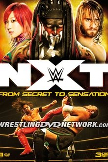 NXT: From Secret to Sensation