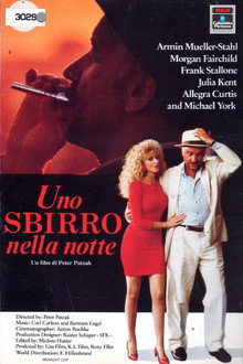 Uno sbirro nella notte