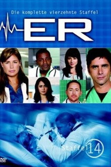 Staffel 14