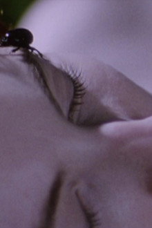 Belle de Nature