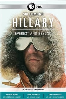 Poster da série Hillary