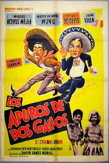 Los apuros de dos gallos