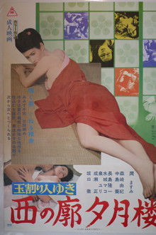 Virgin Breaker Yuki II: Western Licensed District