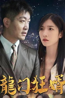 龙门狂婿