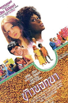 The American Surplus