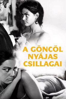 A göncöl nyájas csillagai