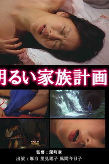 The Novelist's Affair: The Pleasures of Infidelity