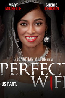 The Perfect Wife