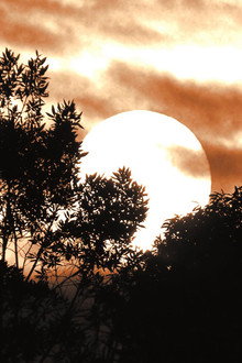 The Snow Behind the Sun