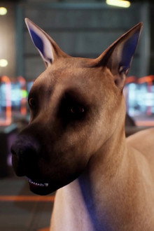 Avenger Dogs