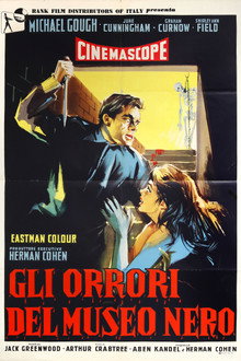 Gli orrori del museo nero