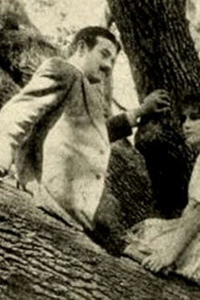 The Girl of the Grove