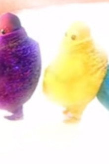 Boohbah