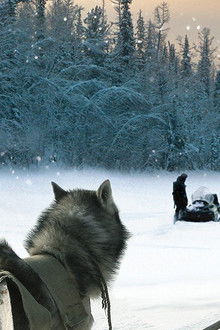 Happy-People-A-Year-in-the-Taiga