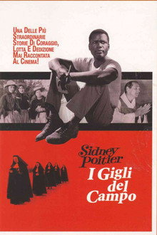 I gigli del campo