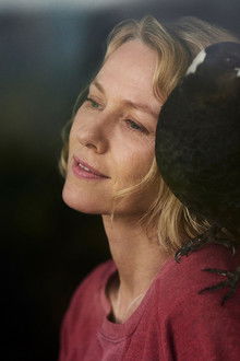 Beflügelt-–-Ein-Vogel-namens-Penguin-Bloom