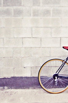 fixie
