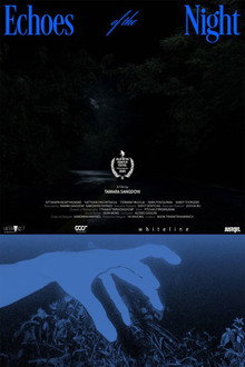 Echoes of the Night