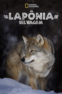 Poster do filme Lapônia Selvagem