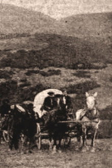 One Hundred Years of Mormonism