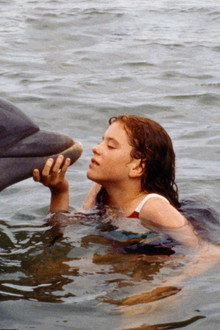 La Grenouille et la Baleine