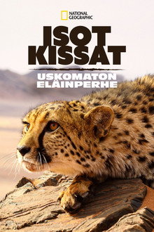 Isot kissat: Uskomaton eläinperhe