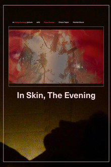 In Skin, The Evening