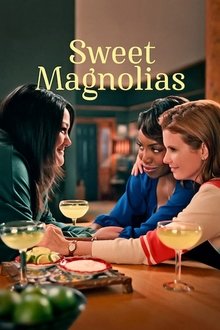 Sweet Magnolias tv show poster