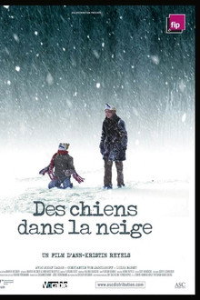 Des chiens dans la neige