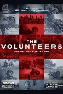 Poster do filme The Volunteers