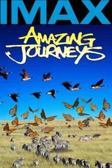 Poster do filme Amazing Journeys