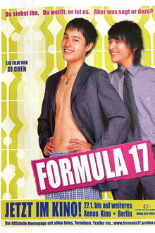 Formular 17