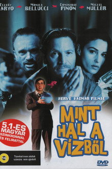 Mint hal a vízből