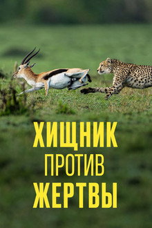 Хищник против жертвы