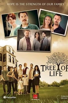 Poster da série Hayat Ağacı