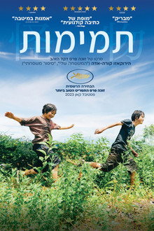 תמימות