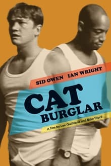 Poster do filme Cat Burglar