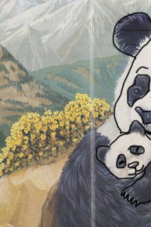 Eu Sou um Pequeno Panda
