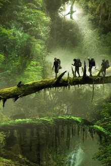 The-Dinosaur-Project