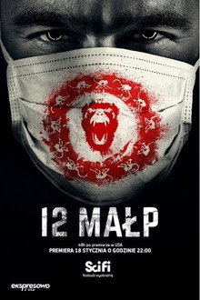 12 Małp