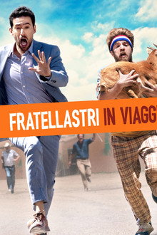 Fratellastri in viaggio