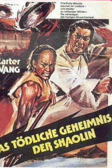 Das tödliche Geheimnis der Shaolin