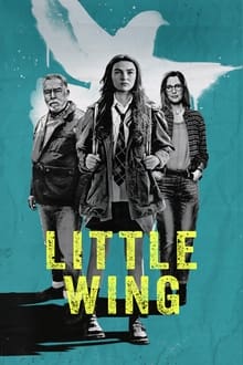 Poster do filme Little Wing