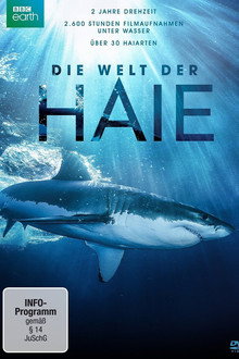 Shark