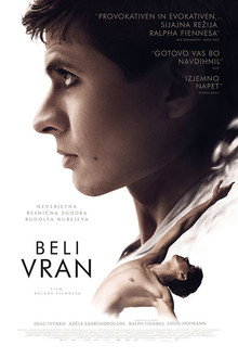 Beli vran